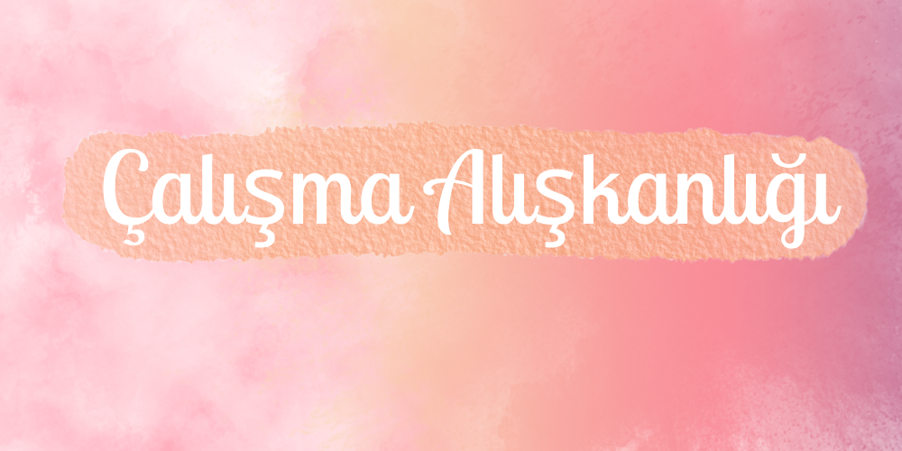 Çalışma Alışkanlıkları